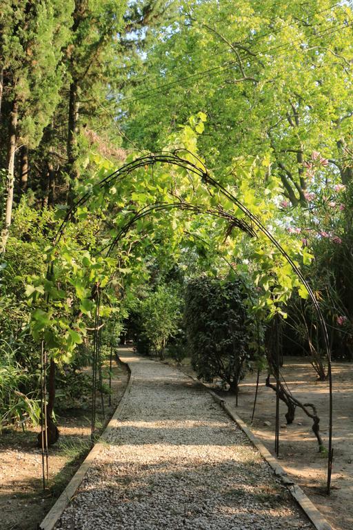 Domaine Du Moulin Saint-Laurent-des-Arbres Ngoại thất bức ảnh